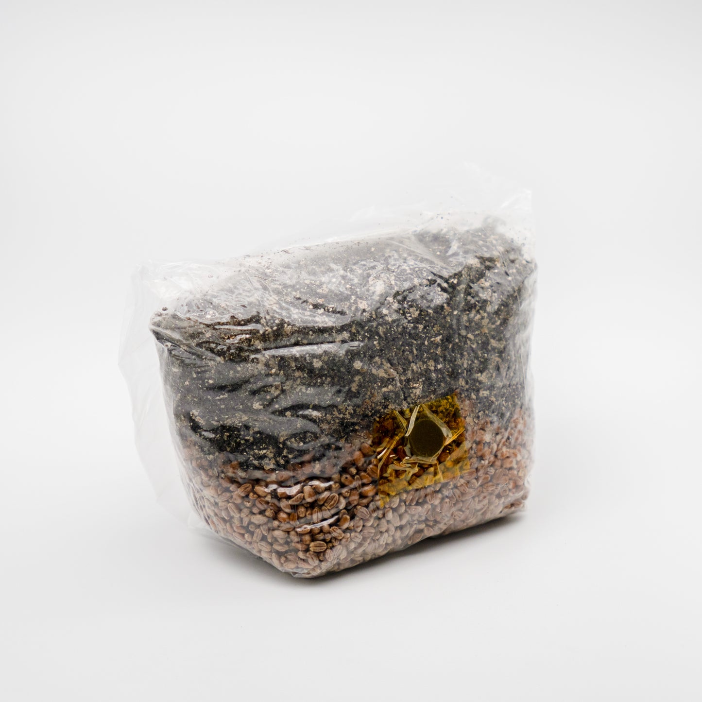 All In One Mushroom Grow Kit