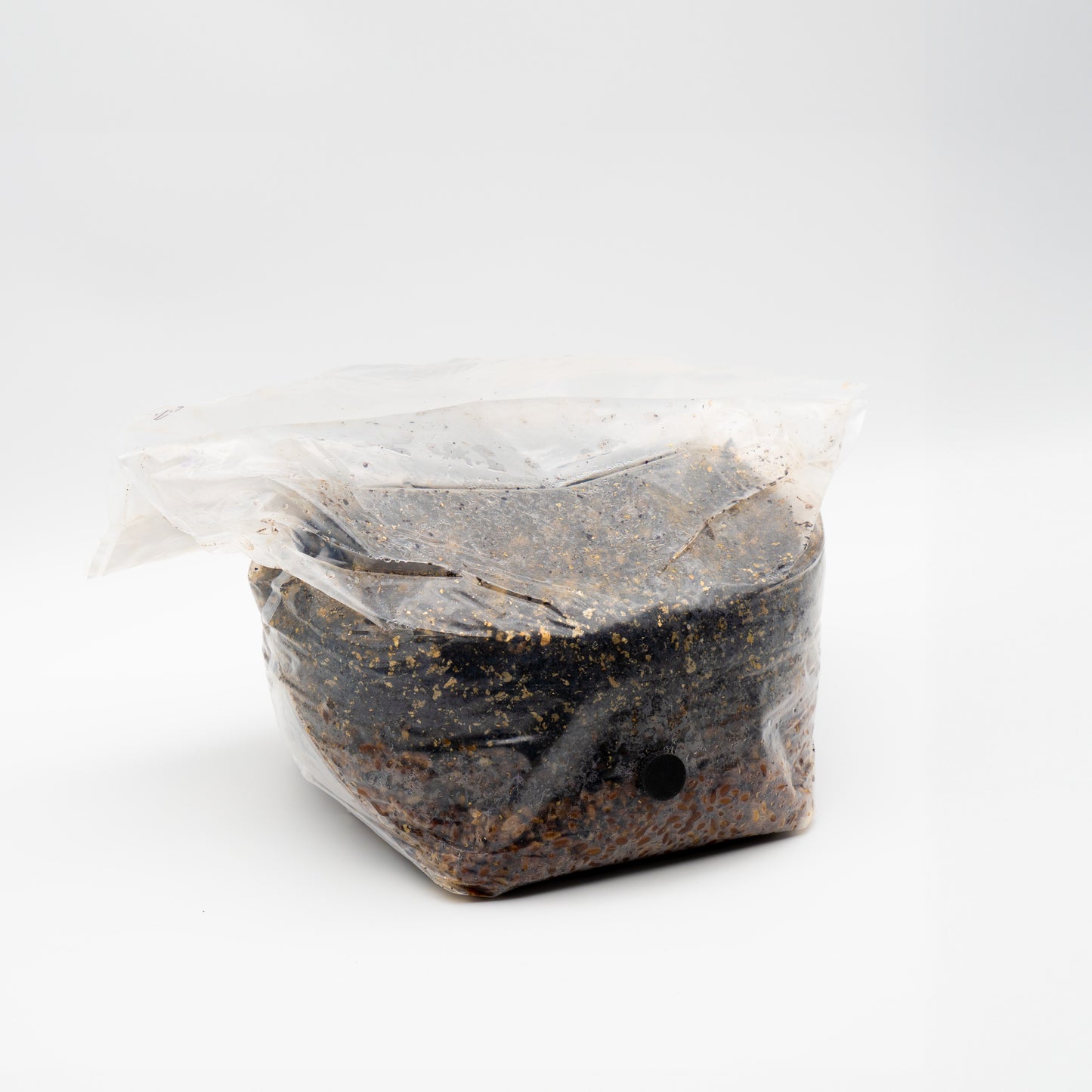 All In One Mushroom Grow Kit