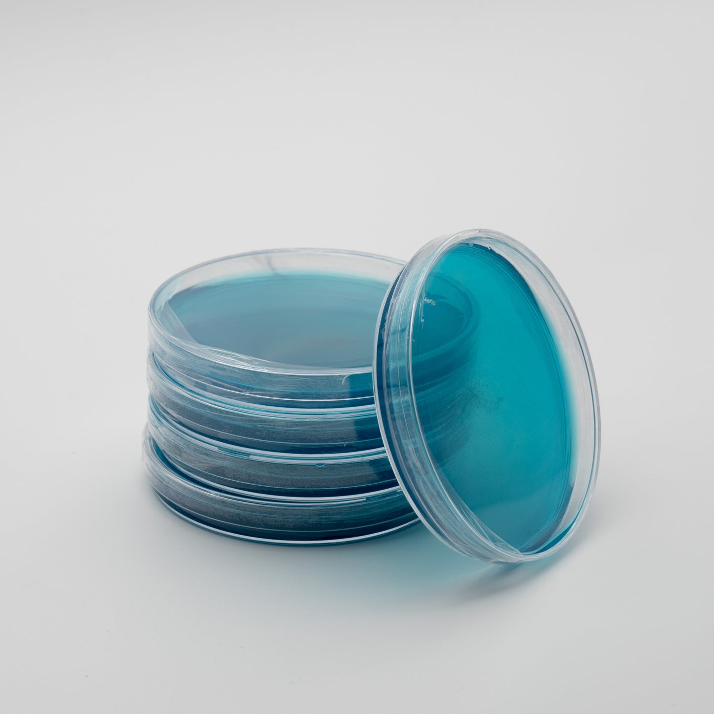 Agar Dishes - Light Malt Extract (LME) For Mushroom Growing