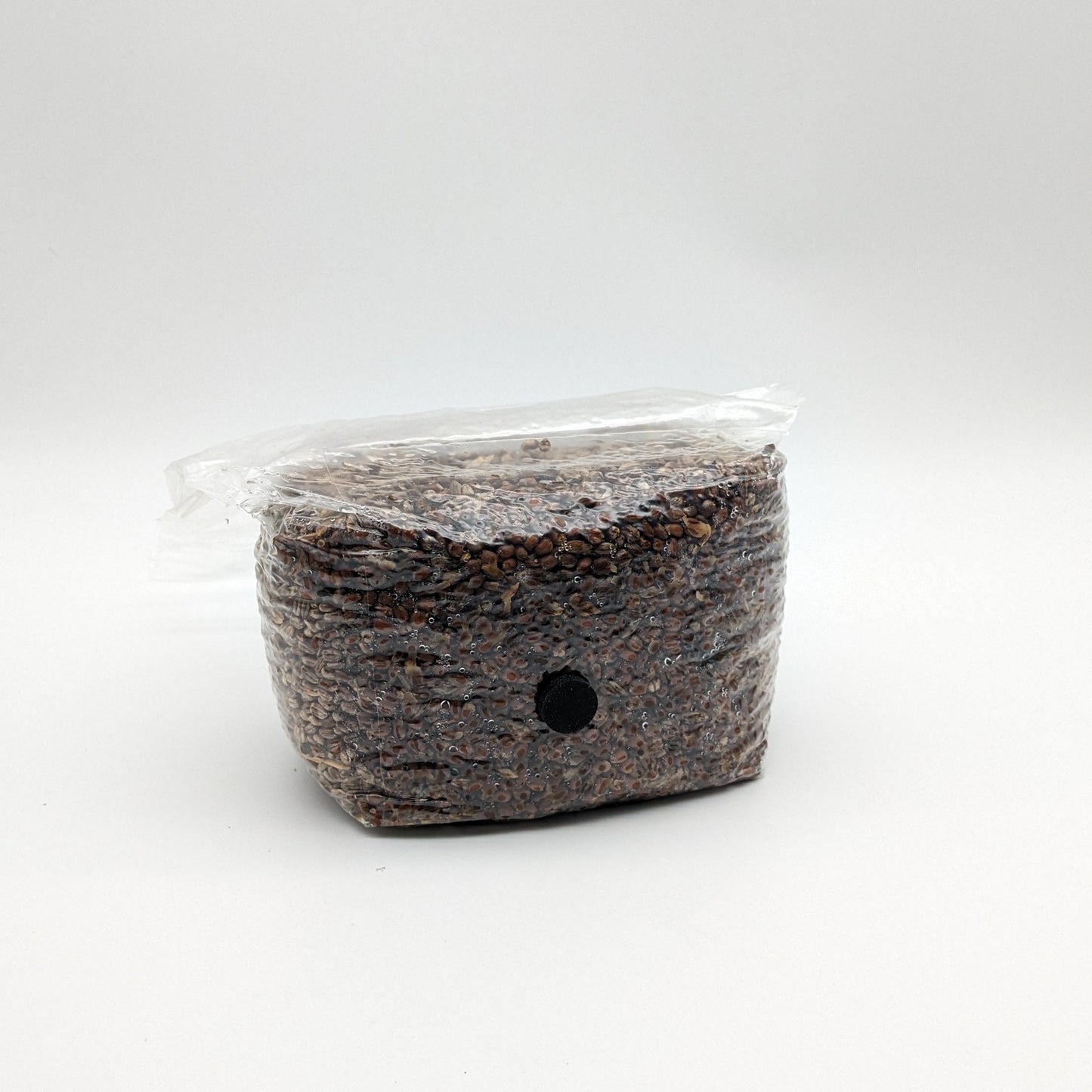 Sterilised Grain for Mushroom Spawn 1kg