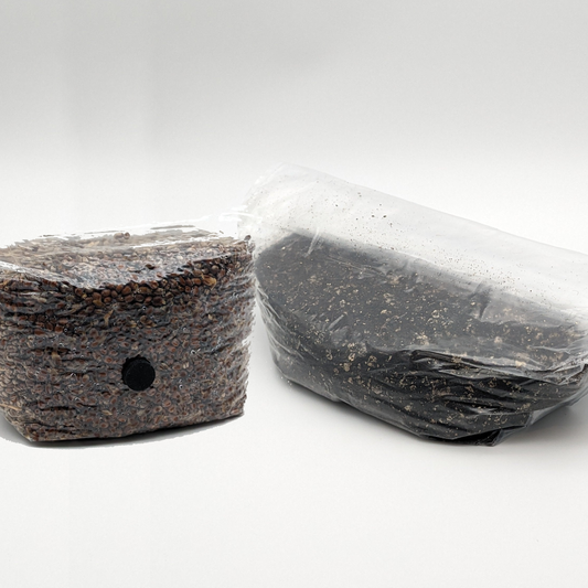 Grain and Substrate for Mushroom Monotub Refill